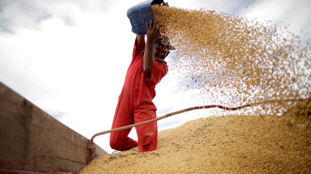 Crescimento da economia surpreende, mas cenário não deve se repetir no ano que vem